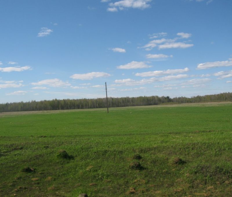 Фото земельного участка, в Новгородская области, в Старорусский районе - фото №5