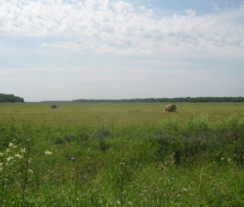 Фото земельного участка, в Новгородская области, в Старорусский районе - фото №6
