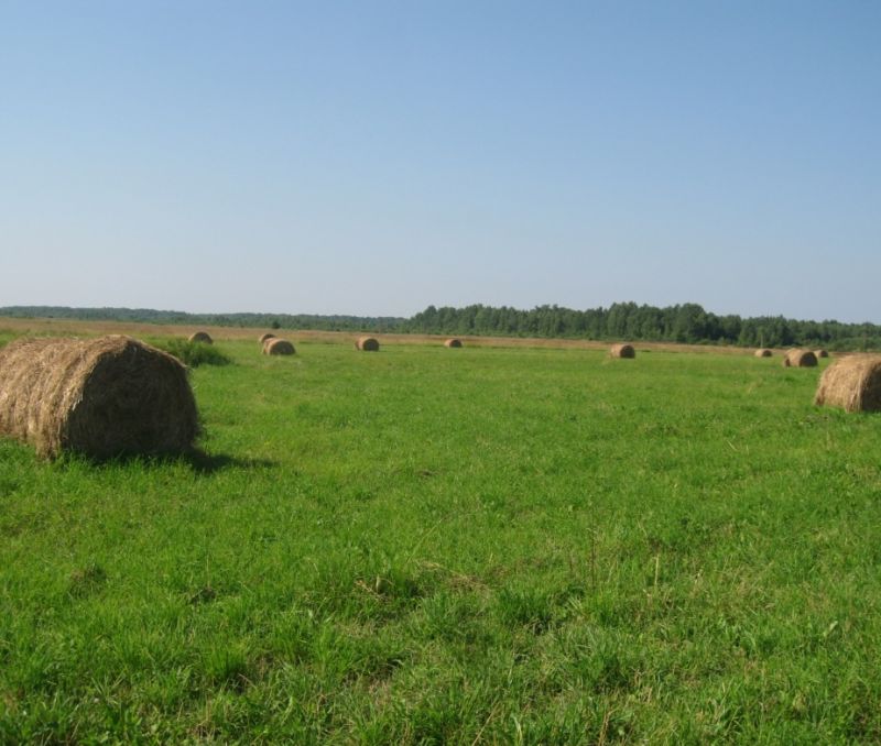 Фото земельного участка, в Новгородская области, в Старорусский районе - фото №2
