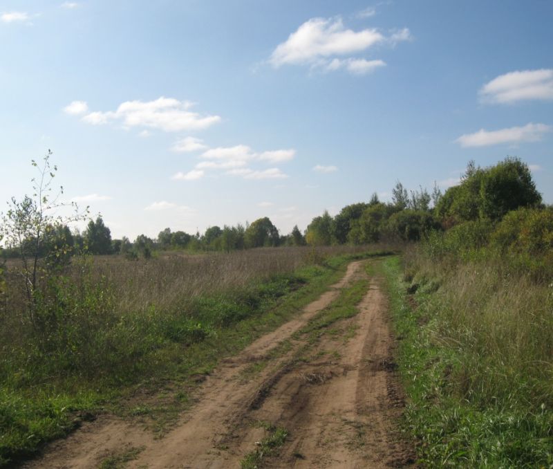 Фото земельного участка, в Новгородская области, в Старорусский районе - фото №3