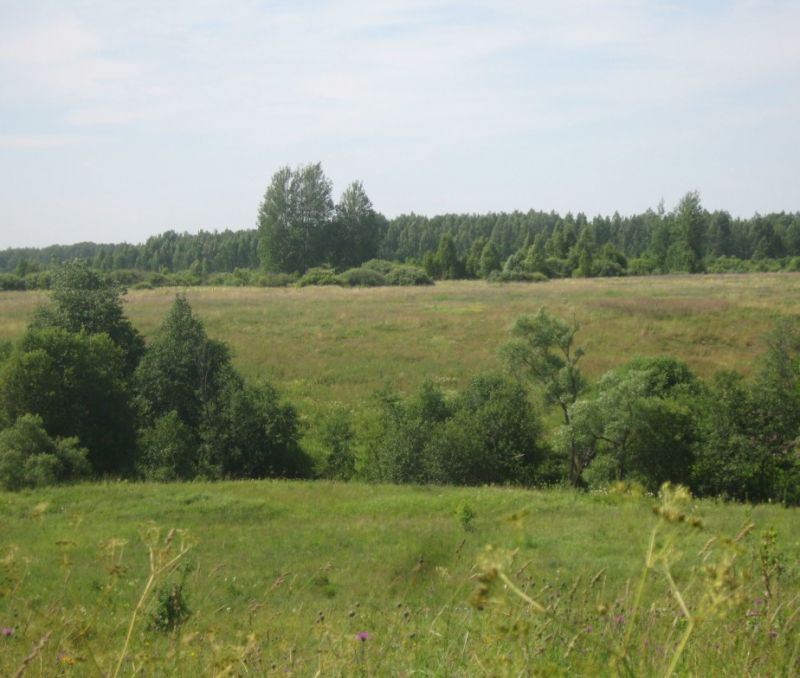 Фото земельного участка, в Новгородская области, в Старорусский районе - фото №7