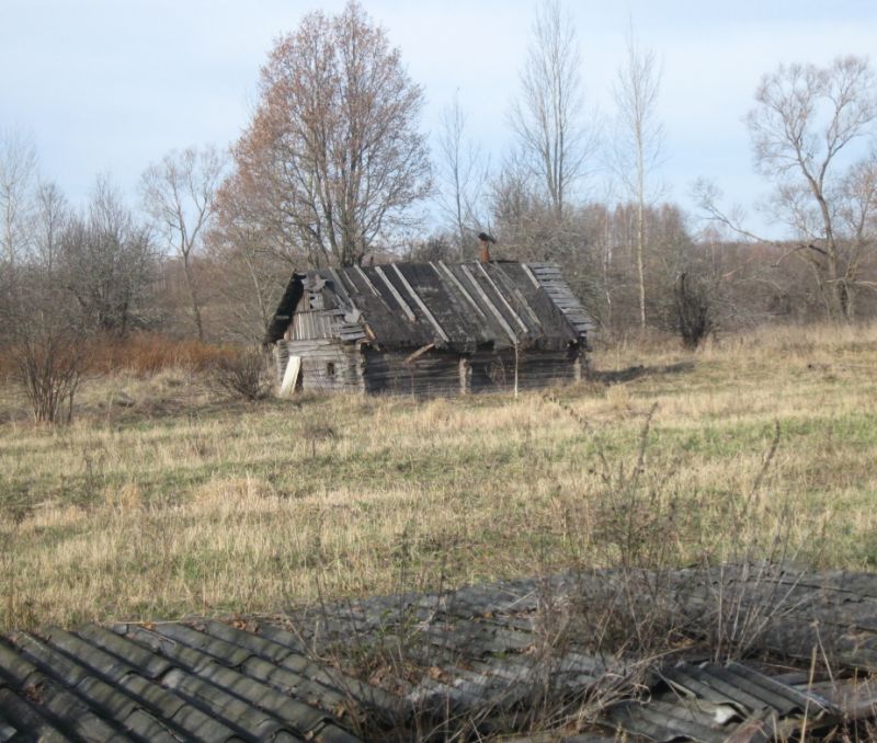 Фото земельного участка в Старая Русса, в Новгородская области - фото №3
