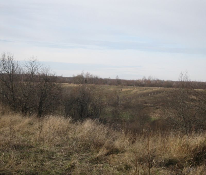 Фото земельного участка в Старая Русса, в Новгородская области - фото №5