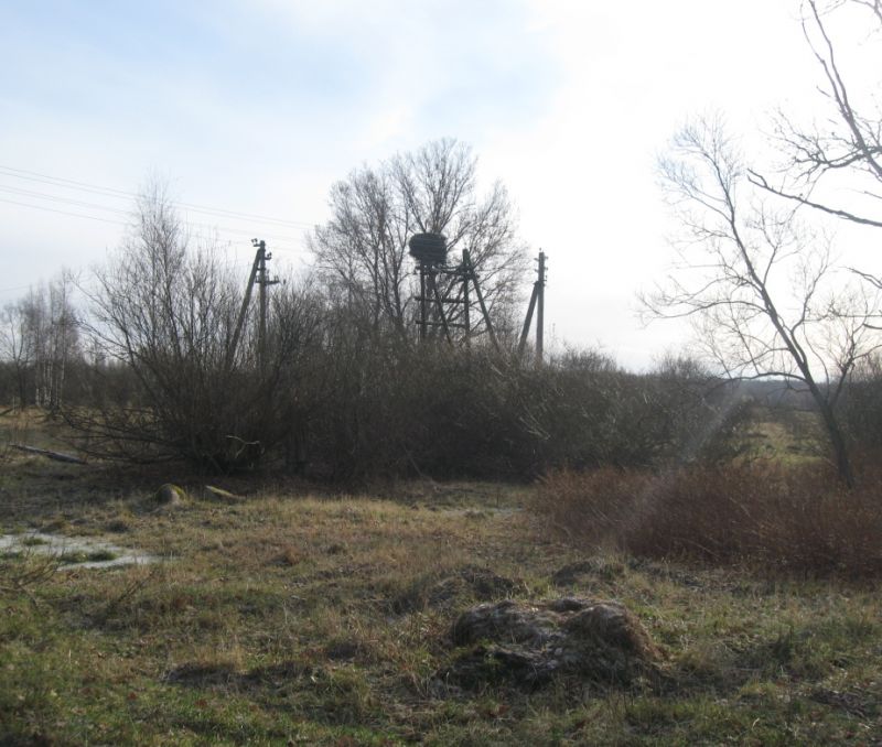 Фото земельного участка, в Новгородская области, в Старорусский районе - фото №4