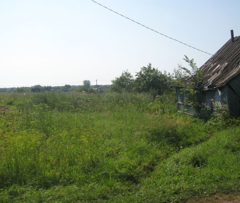 Фото земельного участка, в Новгородская области, в Старорусский районе - фото №5