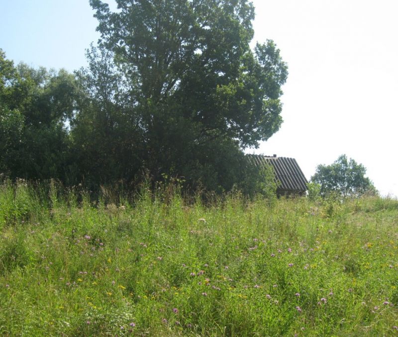 Фото земельного участка, в Новгородская области, в Старорусский районе - фото №1