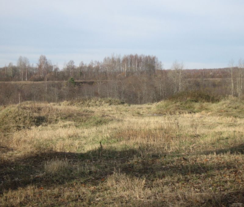 Фото земельного участка, в Новгородская области, в Старорусский районе - фото №8