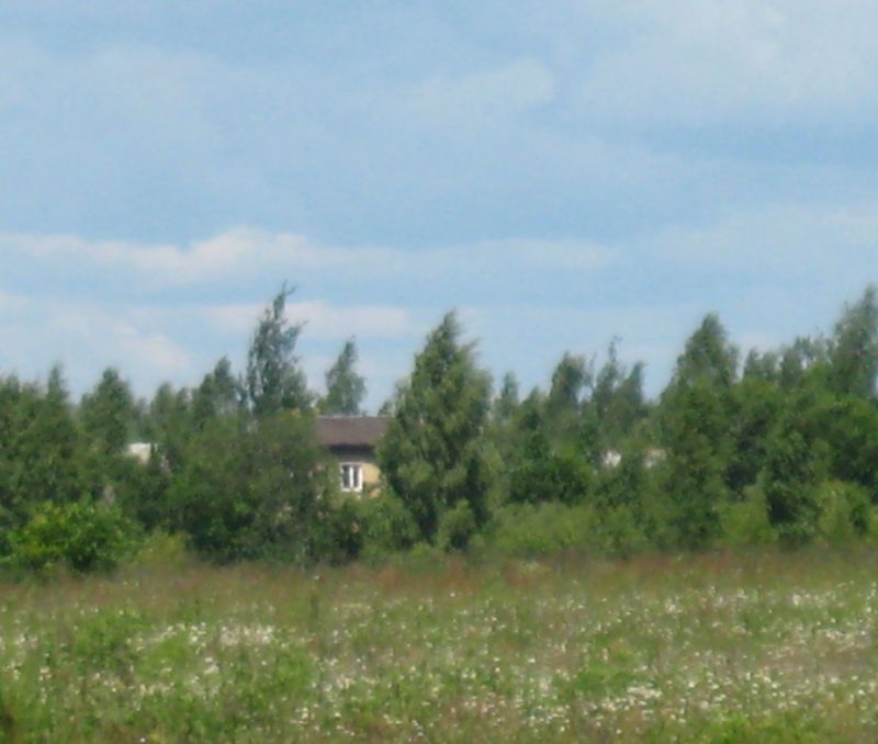Фото земельного участка, в Старорусский районе - фото №1