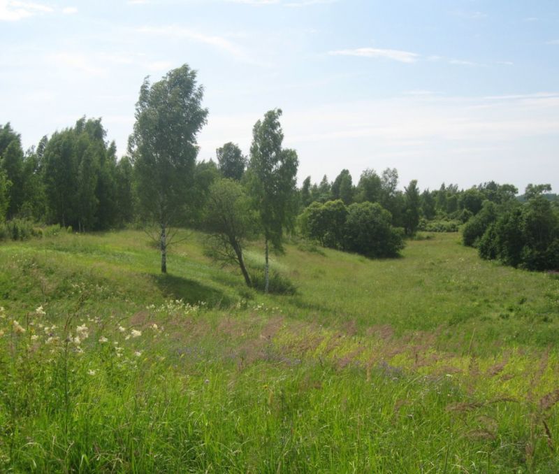 Фото земельного участка, в Новгородская области - фото №3