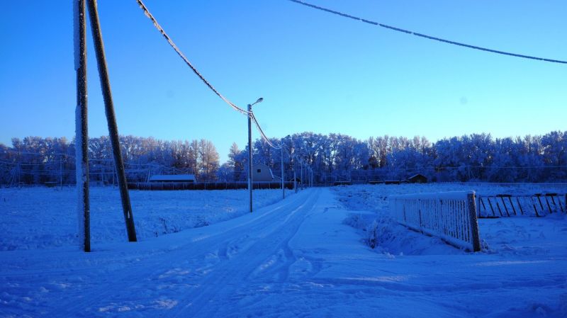 Фото земельного участка, в Ленинградская области - фото №1