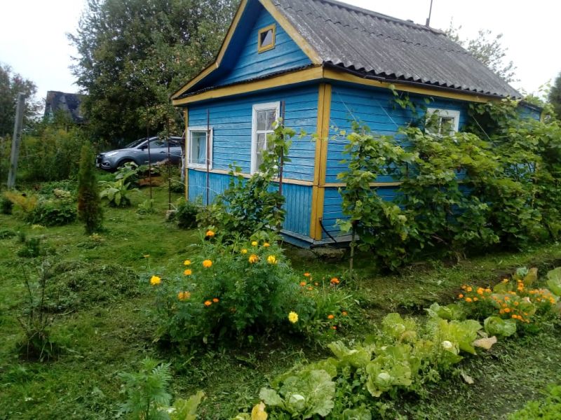 Фото земельного участка, в Новгородская области, в Старорусский районе - фото №11