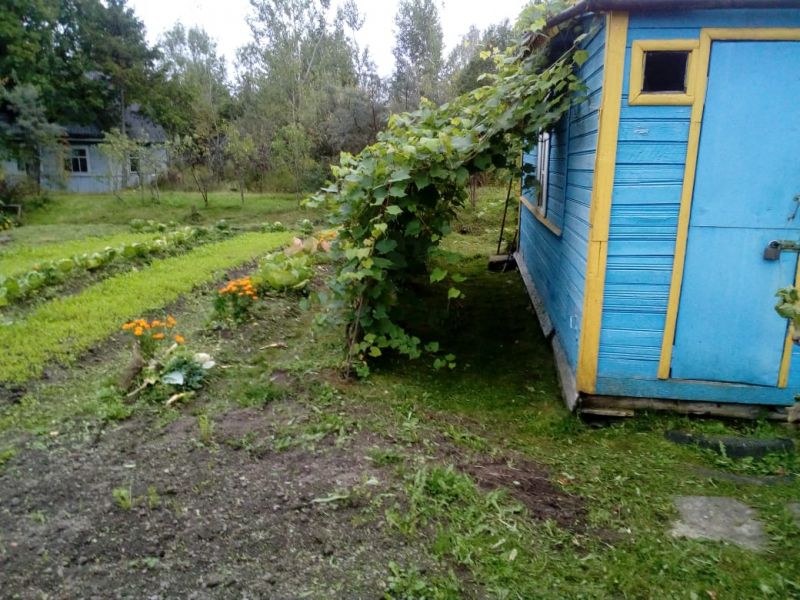 Фото земельного участка, в Новгородская области, в Старорусский районе - фото №14